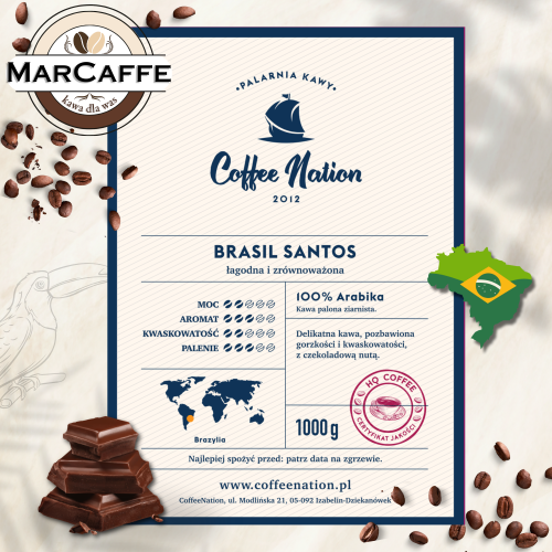 BRASIL SANTOS.png